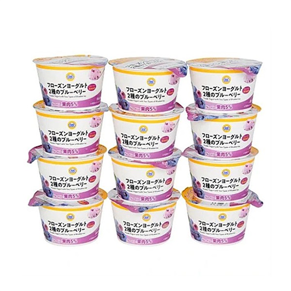 フローズンヨーグルト2種のブルーベリー 12個入 冷凍  スイーツ アイス ミニストップオリジナル ギフト【送料無料※一部地域は除く】