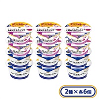 フローズンヨーグルト プレーン・2種のブルーベリー各６個セット【送料無料※一部地域は除く】 冷凍  スイーツ アイス ミニストップオリジナル ギフト