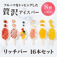 【送料込み】リッチバー 16本セット 冷凍