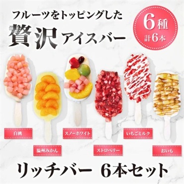 【送料込み】リッチバー 6本セット 冷凍