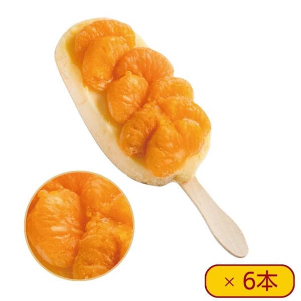 【送料込み】 リッチ果実バー 温州みかん ６本入 冷凍