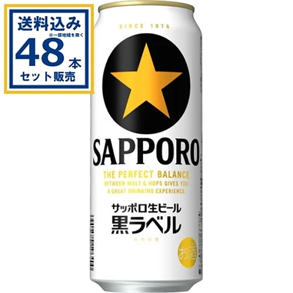 サッポロ 生ビール黒ラベル 500ml×24本×2ケース (48本)【送料無料※一部地域は除く】