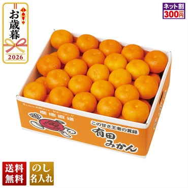 和歌山県産　有田みかん
