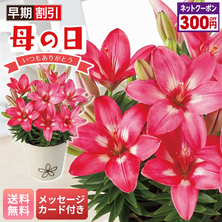 ユリ（ロザリン）