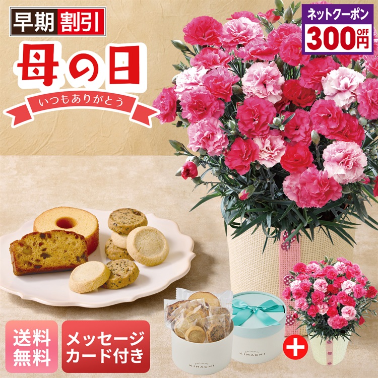 カーネーション（さくらもなか）と「パティスリー キハチ」アソートBOX