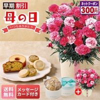 カーネーション（さくらもなか）と「パティスリー キハチ」アソートBOX