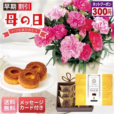 カーネーション（ホットハート）とT.D.Early キャラメリゼバウム