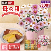 マーガレット（さくらべーる）と「銀座千疋屋」銀座フルーツクーヘン