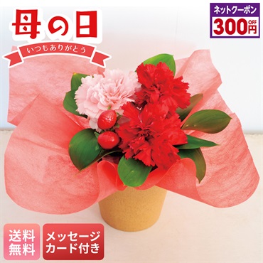 アレンジメント（イチゴミルク）