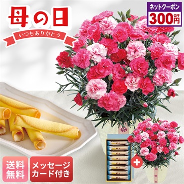 カーネーション（さくらもなか）とOIMO MERCI ラングドロール