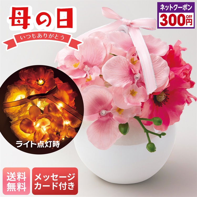 フレグランス胡蝶蘭（ピンク）