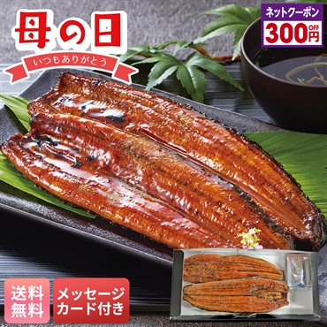 「浜名湖つるや」監修 浜松うなぎ蒲焼セット