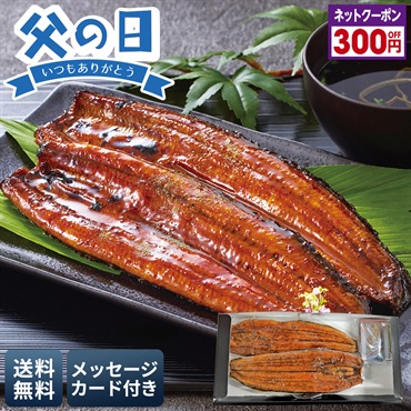 「浜名湖つるや」監修 浜松うなぎ蒲焼セット