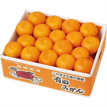 和歌山県産 有田みかん