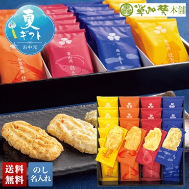 「草加葵」海千楽