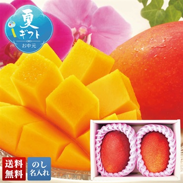沖縄県産 マンゴー