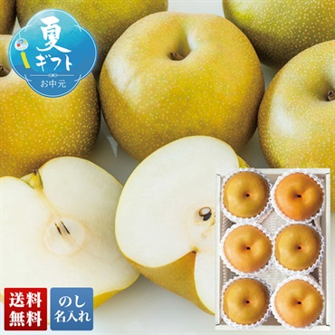 熊本県産 幸水梨