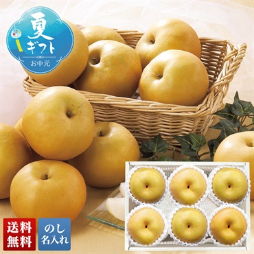 佐賀県産 伊万里梨