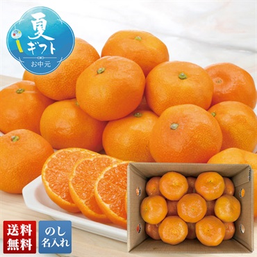 JAからつ ハウスみかん