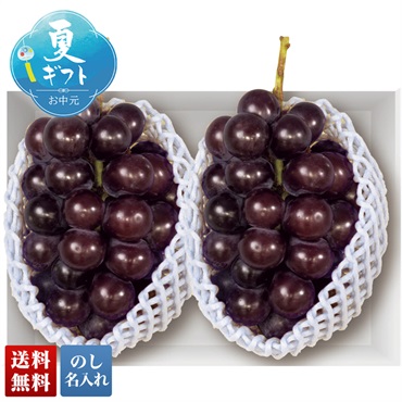 山梨県産 巨峰
