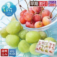 山形県産 冷凍さくらんぼ（佐藤錦）＆冷凍シャインマスカット