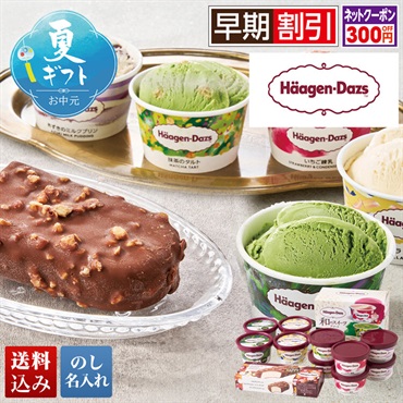 「ハーゲンダッツ」アイスクリームセット