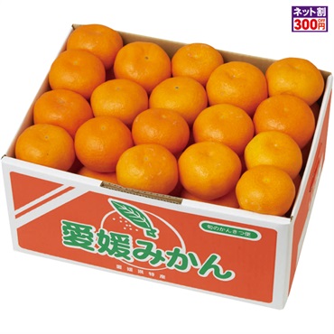 愛媛みかん