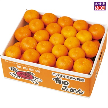 和歌山県産 有田みかん