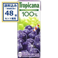 キリン トロピカーナ 100％ グレープ 250ml×2ケース(48本)(送料無料、一部地域は除く)