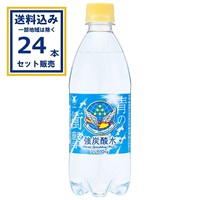 チェリオ 強炭酸水 500ml×24本×1ケース (24本)(送料無料、一部地域は除く)