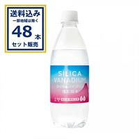 友桝飲料 シリカ＆バナジウム強炭酸水 500ml×24本×2ケース (48本)(送料無料 、一部地域は除く) シリカ 炭酸水 ソーダ水 スパークリングウォーター 強刺激
