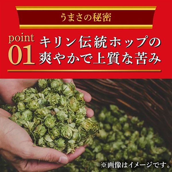 キリン 本麒麟 500ml×24本×2ケース (48本) 新ジャンル 第3の生 ビール