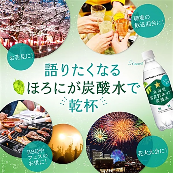 ポッカサッポロ 北海道富良野ホップ炭酸水 500ml×24本×2ケース (48本