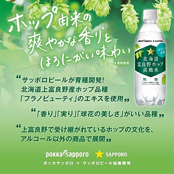 ポッカサッポロ 北海道富良野ホップ炭酸水 500ml×24本×2ケース (48本