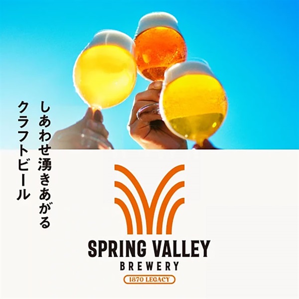 キリン SPRING VALLEY BREWERY シルクエール 白 500ml×24本×1ケース