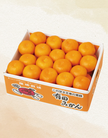 和歌山県産 有田みかん