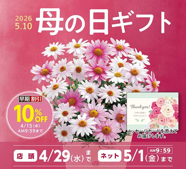 おすすめ商品バナー