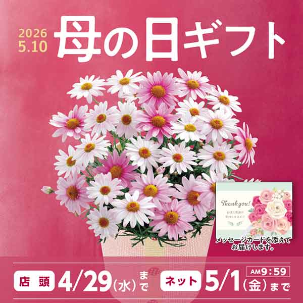 おすすめ商品バナー