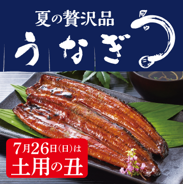 夏の贅沢品うなぎ
