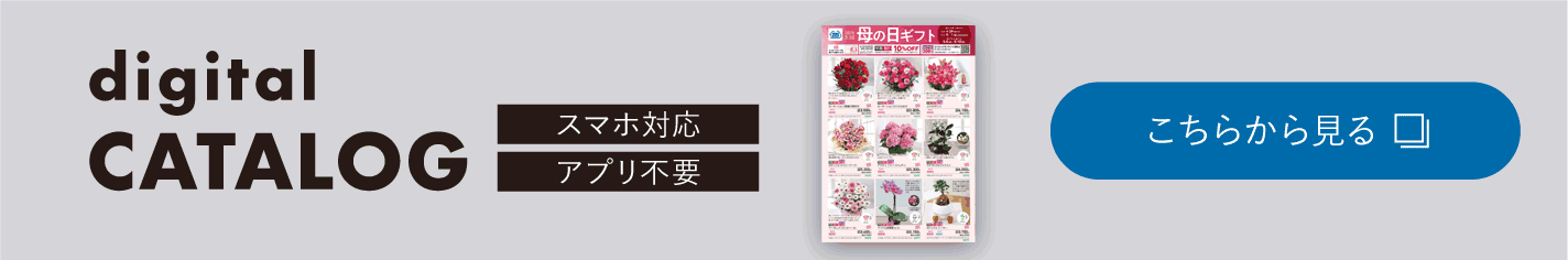 デジタルカタログ