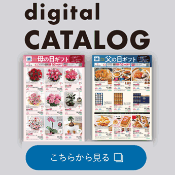 デジタルカタログ