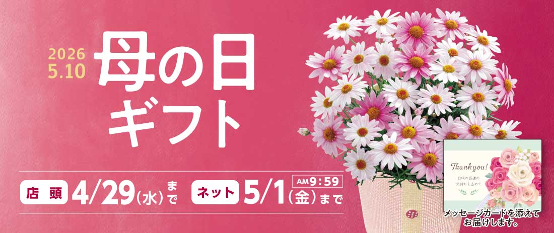 2026年 母の日ギフト特集