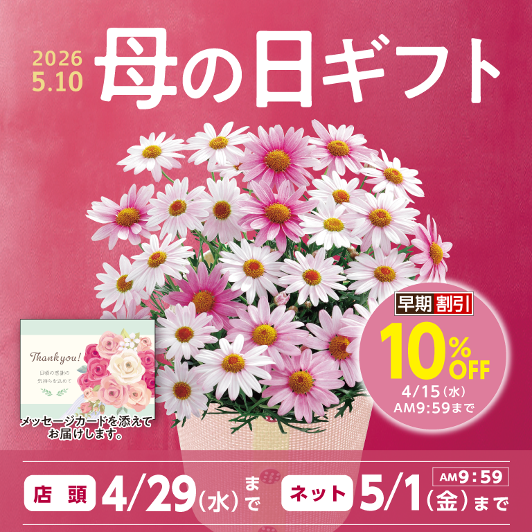 2026年 母の日ギフト特集