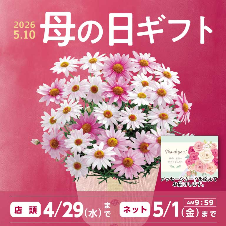 2026年 母の日ギフト特集