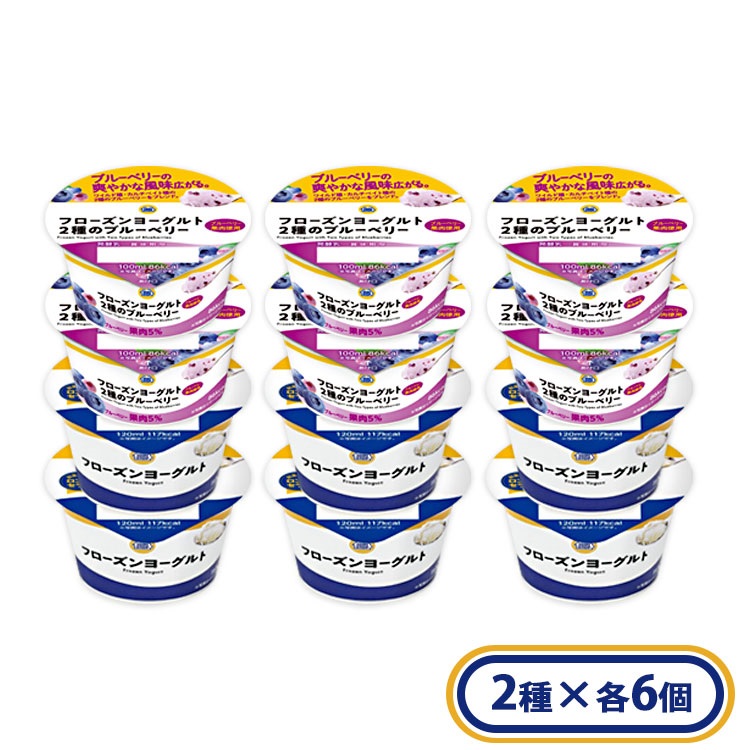 フローズンヨーグルト プレーン・2種のブルーベリー各６個セット 冷凍  スイーツ アイス ミニストップオリジナル ギフト【送料無料※一部地域は除く】